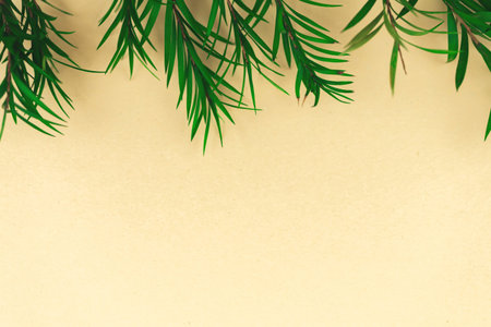 Dried leafs and leaves border composition with place for your text, spring and summer background,...