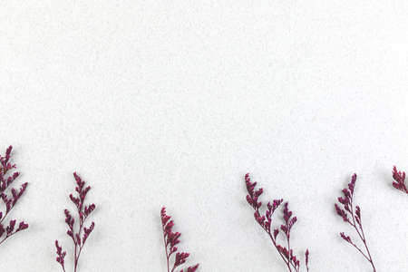 Flat lay floral composition with dried flower border and frame on a white background, copy space photoの写真素材