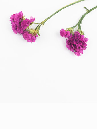 Dried wild flower on the table, minimal and neutral workspace concept background concept photo