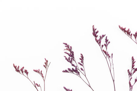 Flat lay dried flower background with copy space, top view photo