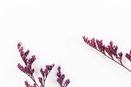 Spring composition with dried flowers on a white background, flat lay minimal concept photoの写真素材