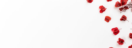 Banner with dried flower petals, floral and flat lay composition with copy space photoの写真素材