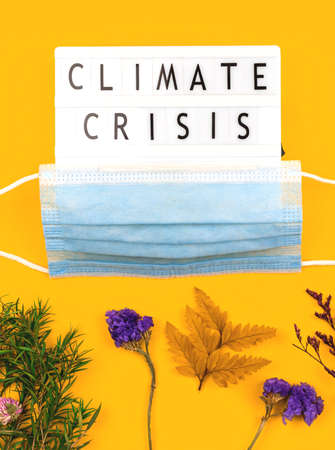 New normal climate crisis and changes concept background with dried flowers, flat layの写真素材