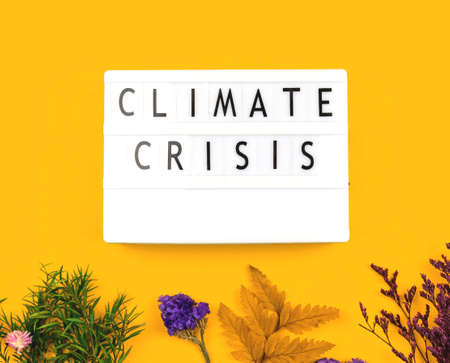 Climate crisis concept background with dried flowers, flat lay and top view photoの写真素材