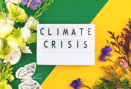 Climate crisis creative flat lay background with flowers and dried flowers, top view, climate changes concept photoの写真素材