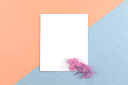 Blank white paper card with dried flowers on it, flat lay workspace concept with copy space, top view photoの写真素材