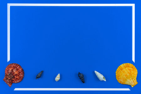 Frame of the seashells on a blue background, flat lay composition with copy space, top view photo