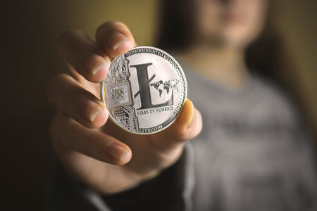 Young woman holding silver litecoin in her hand close-up view, advertising crypto coins, digital...