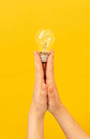 Creative idea concept background with light bulb in woman handsの写真素材