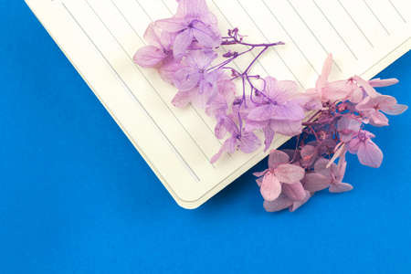 Close-up of diary with flowers, feminine and cozy notebook concept on blue background, flat layの写真素材