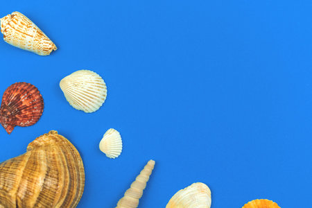 Seashells flat lay composition with blue background, top view, summer sea concept photo