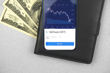 Trade with VeChain VET cryptocurrency, dogotal technology market exchange, business background, top viewの写真素材