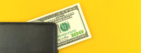 Savings money banner concept, leather wallet of businessman with one hundred dollar bill inside, income and success backgroundの写真素材