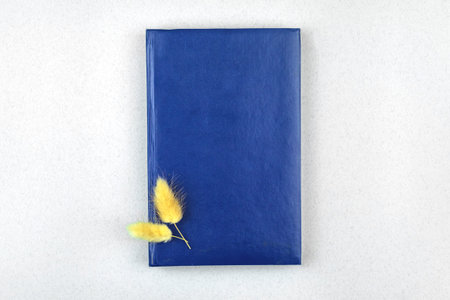 Minimal workspace mockup with blue leather notepad and dry dried flowers, office desktop top viewの写真素材