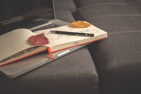 Laptop with diary, autumn composition. Notepad with pencil and autumn leaves on sofa at home. Copy space backgroundの写真素材