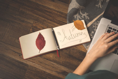 Cozy home composition background with notepad and autumn leaves, young girl using laptop in autumn holidays conceptの写真素材