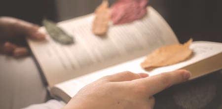 Banner, girl reading old book in cozy autumn days. Book with autumn leaves warm toned background photoの写真素材