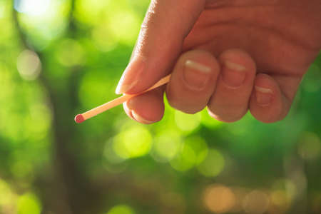Children's hand holding match in the forest. Concept photo of fire danger, forest fires and disasterの写真素材