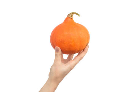 Hand with Orange Hokkaido Pumpkin isolated on a white backgroundの写真素材