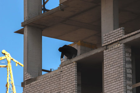 Construction site high rise building under construction and worker silhouette photo