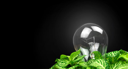Green energy concept. Light bulb lamp and green leaves, home plant on a black background, banner,...