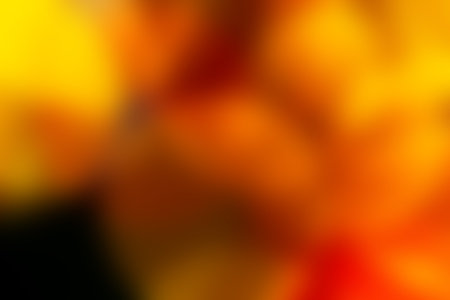 Blurred orange color background. Gradient, smooth gradation bright design. Template conceptの写真素材