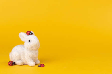 Decorated easter bunny postcard or greeting card for spring holiday. Bright yellow background with copy space, free space for textの写真素材