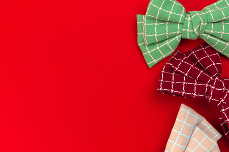 Woman hair bows. Cute fashion accessories for woman hair. Red background, flat lay and copy space