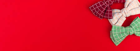 Woman hair bow banner. Cute fashion accessories for woman hair. Red background, flat lay and copy spaceの写真素材