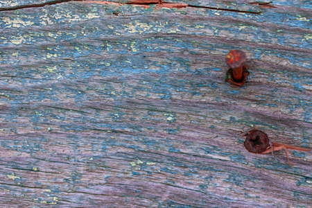 Old wood texture with rusty nails close-up high detailed backgroundの写真素材