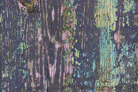 Vintage rustic green wooden for background texture photoの写真素材