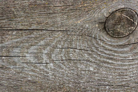 Wood plank texture background close-up and high detailedの写真素材