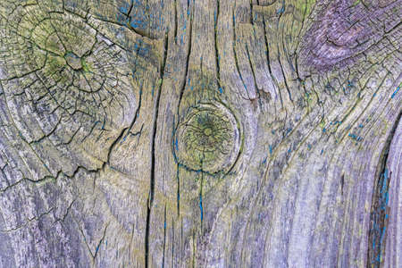 Old wood texture with weathered colorful paint, high detailed backgroundの写真素材