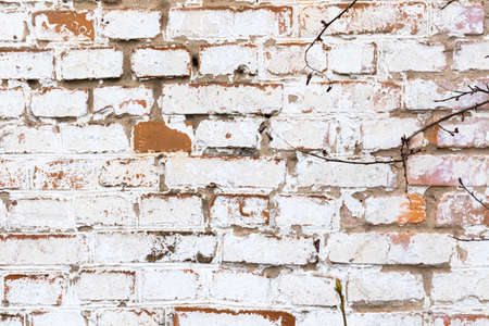 Old brick wall with weathered white paint, high detailed texture backgroundの写真素材