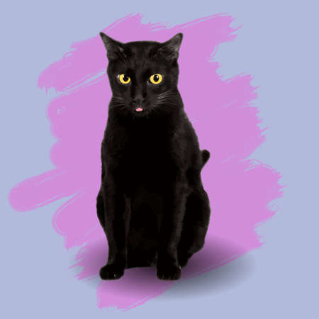 black cat yellow eyes vector .on a blue background and the color from the paintbrush pinkのイラスト素材