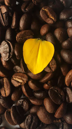 yellow heart shaped petals empty on coffee beans.Make contrast colors contrast, isolate, separate from the background.の写真素材