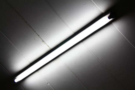 In the darkness when you see it carefully, you can see the light on itの写真素材