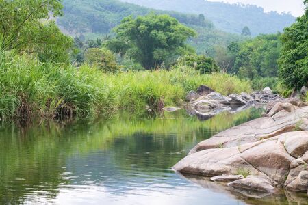 The canal in the wildの写真素材