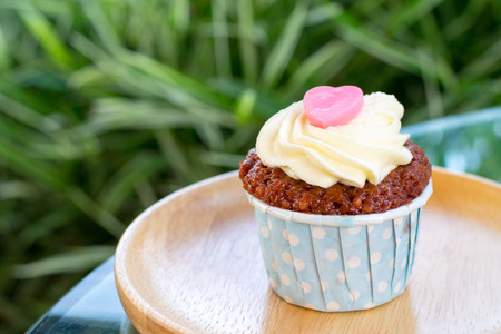 Red velvet cupcake on a wood plateの写真素材