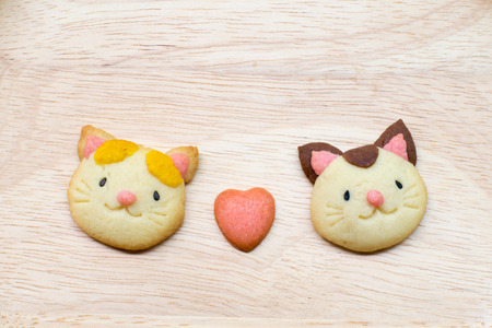 Homemade cat cookies on wood.の写真素材