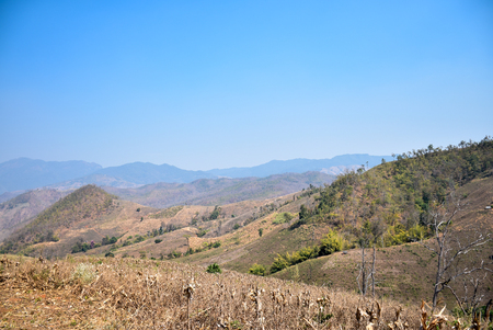 Drr field on the valleyの写真素材