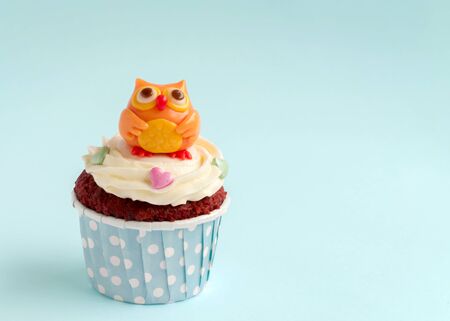 Owl cupcakeの写真素材