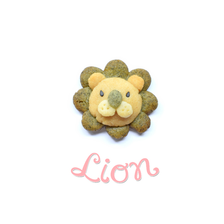 Lion cookies on white backgroundの写真素材