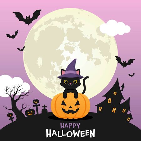 Cute black cat wear witch hat on halloween pumpkin with full moon purple night sky backgroundのイラスト素材
