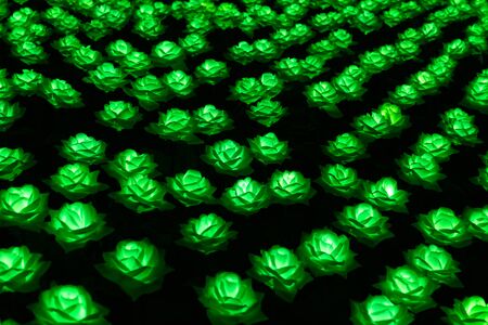 LED rose flower garden at nightの写真素材