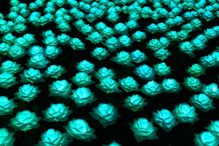 LED rose flower garden at nightの写真素材
