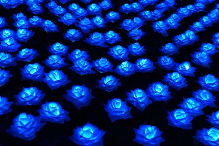 LED rose flower gaeden at nightの写真素材
