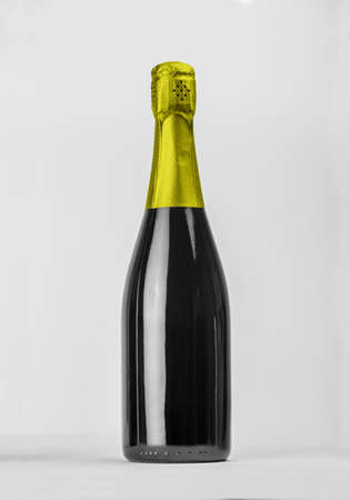 Champagne bottle isolated with color hood for label concept and more tools.の写真素材