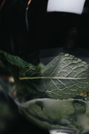 Cocktails with champagne in wine glasses on the bar table in the pub or restaurant with the bartender.の写真素材