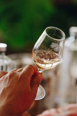 Red white and rose wine glass tasting in store restaurantの写真素材